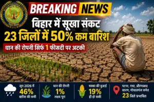 बिहार में सूखा संकट: 23 जिलों में 50% कम बारिश, धान की रोपनी सिर्फ 1 फीसदी पर अटकी